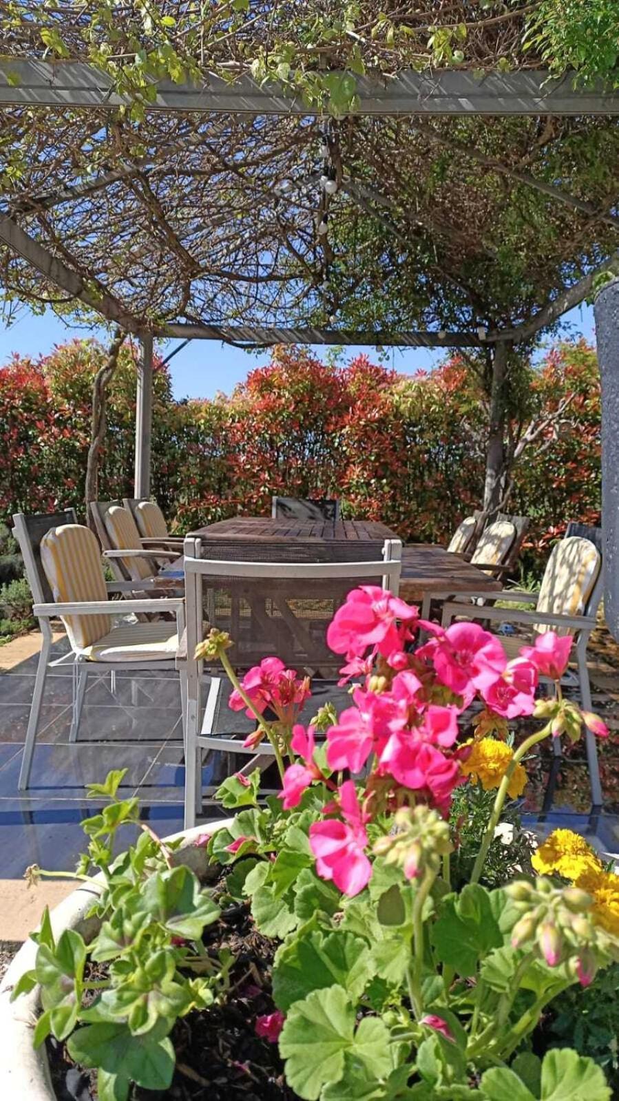 Mon Ventoux - Cozyhotes Sault-de-Vaucluse Exterior foto
